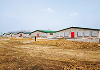 渦陽(yáng)縣生豬育肥基地